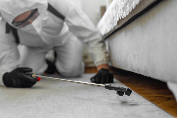 Professional Bed Bug Control technician working in Rayne, LA